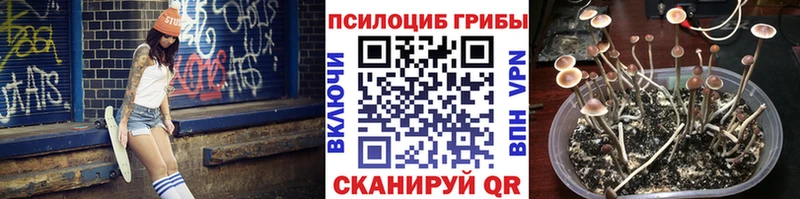 Галлюциногенные грибы Cubensis Сочи