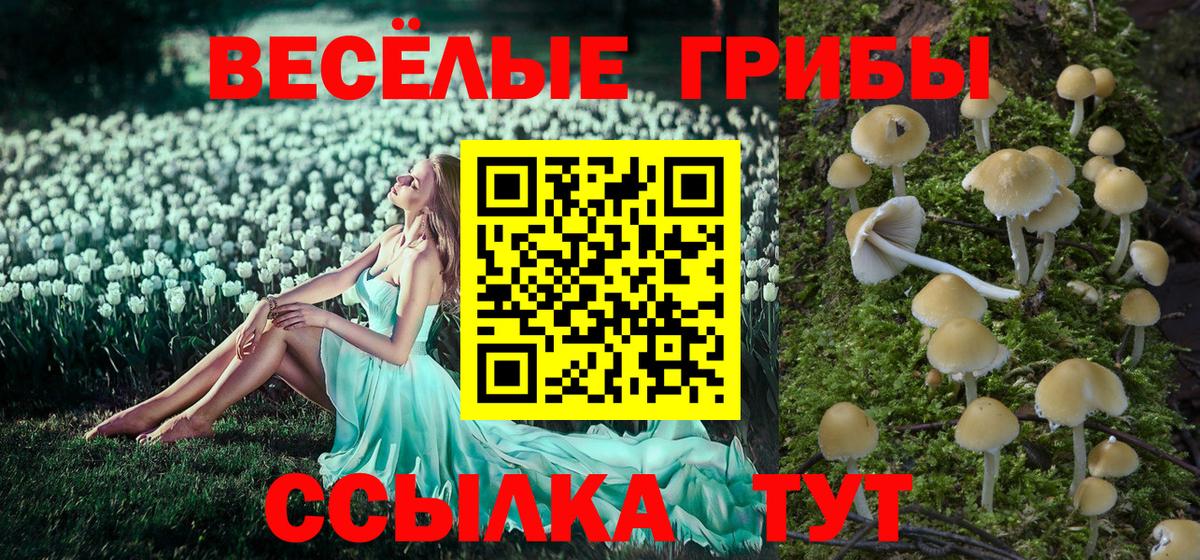 Галлюциногенные грибы Magic Shrooms  Вход с VPN  Сочи 